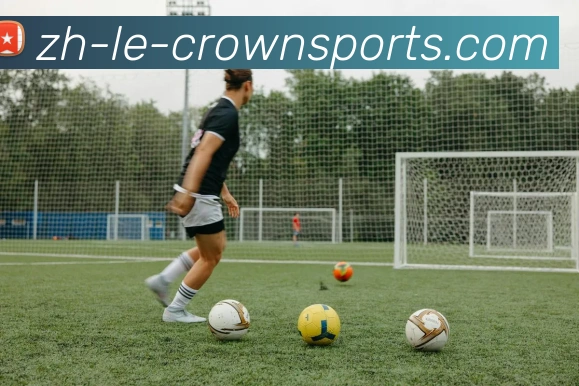 皇冠体育CROWNSPORT官网平台生态图